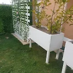 Shorty House Apartman *