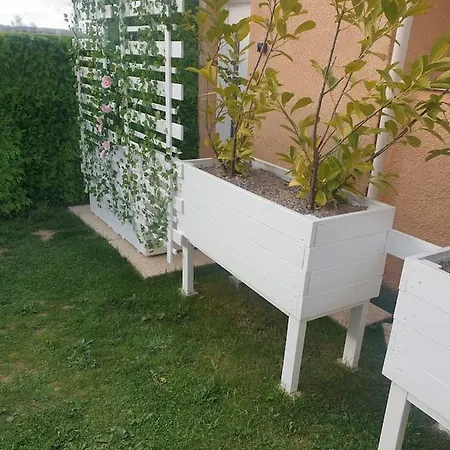 Shorty House Apartament *