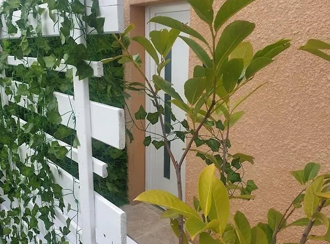 Shorty House *