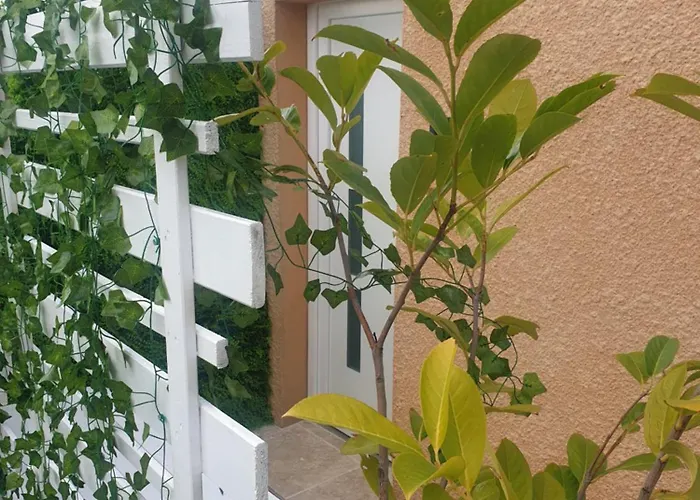 Shorty House Lejlighed *